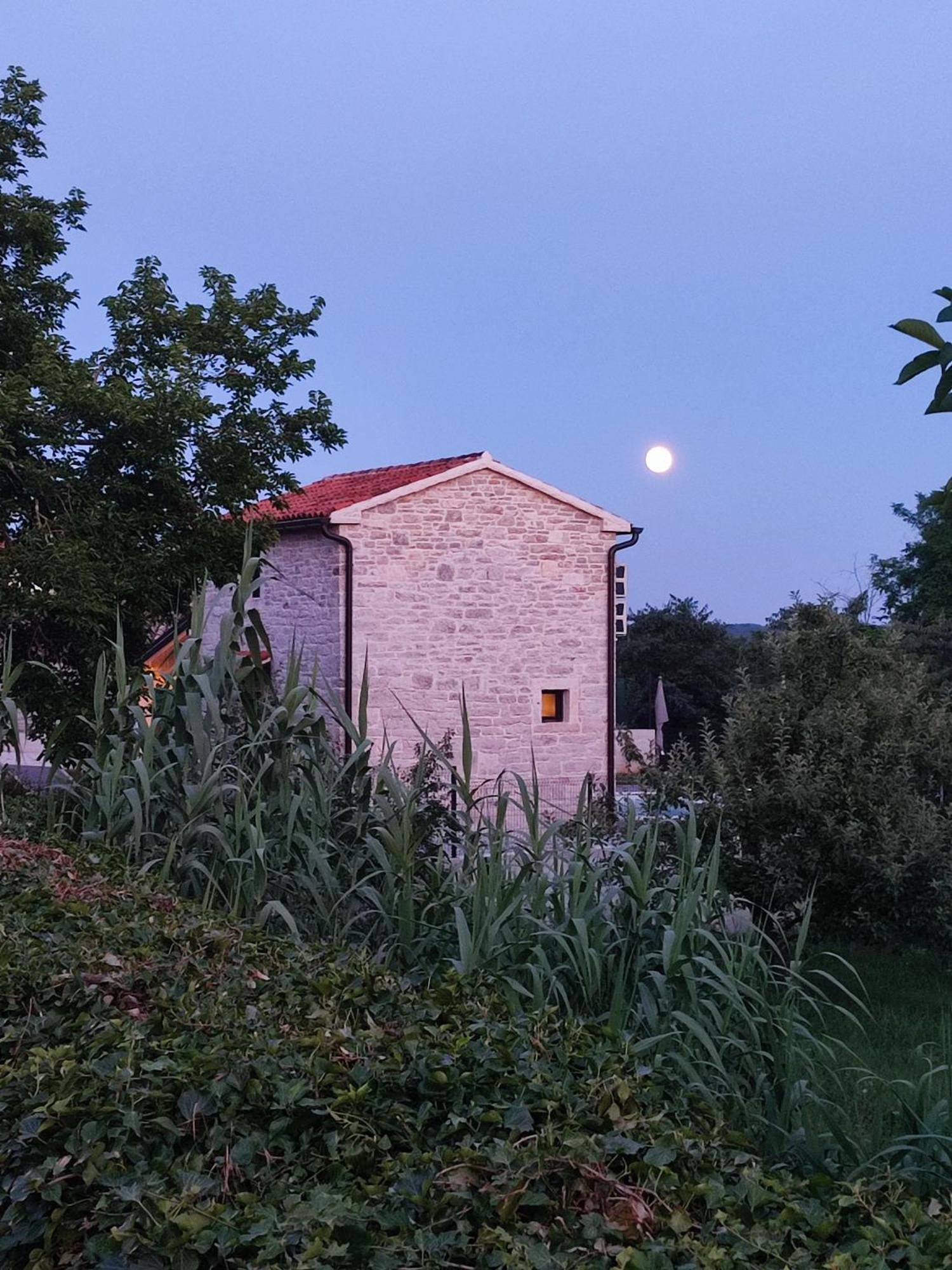 פאזין Villa Lita מראה חיצוני תמונה
